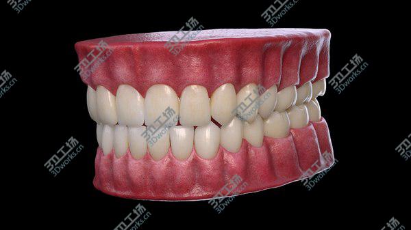 images/goods_img/20210312/Mouth 3D model/4.jpg